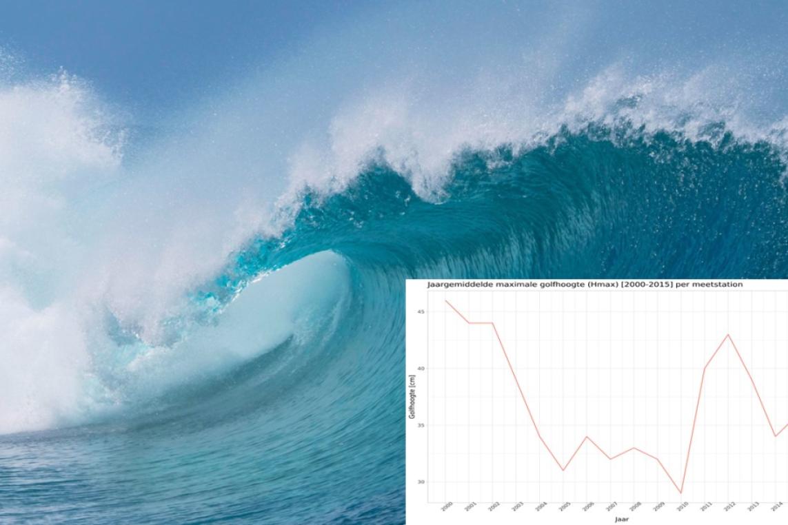 Wave levels in the Scheldt estuary